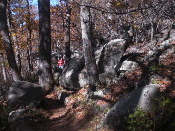 Sharp Top trail Image