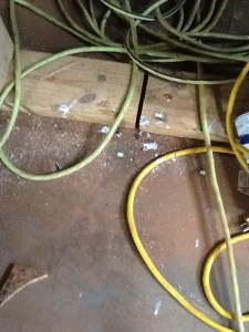 Bird droppings in photo. Ick!  We had baby Carolina wrens and now we have red head barn swallows.